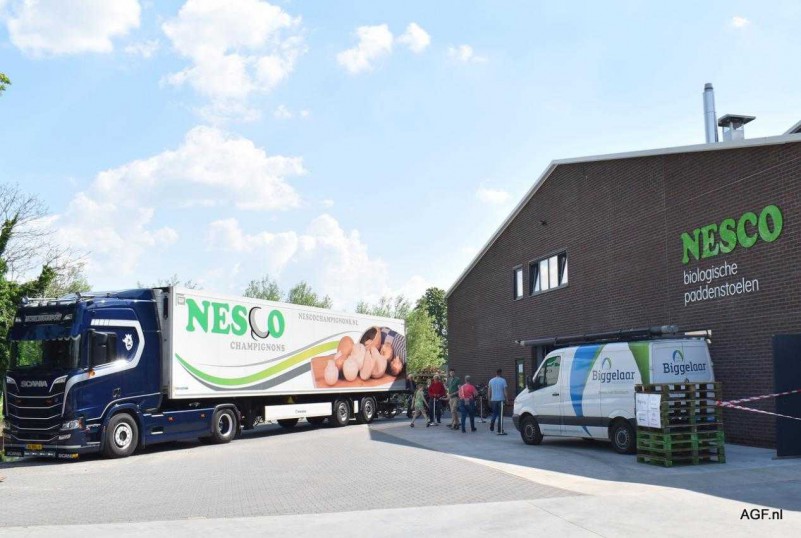 近年來，荷蘭食用菌產(chǎn)業(yè)發(fā)展情況如何？