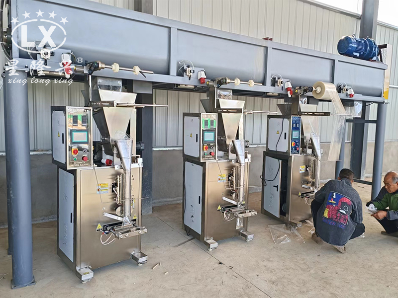 羊肚菌生產(chǎn)線