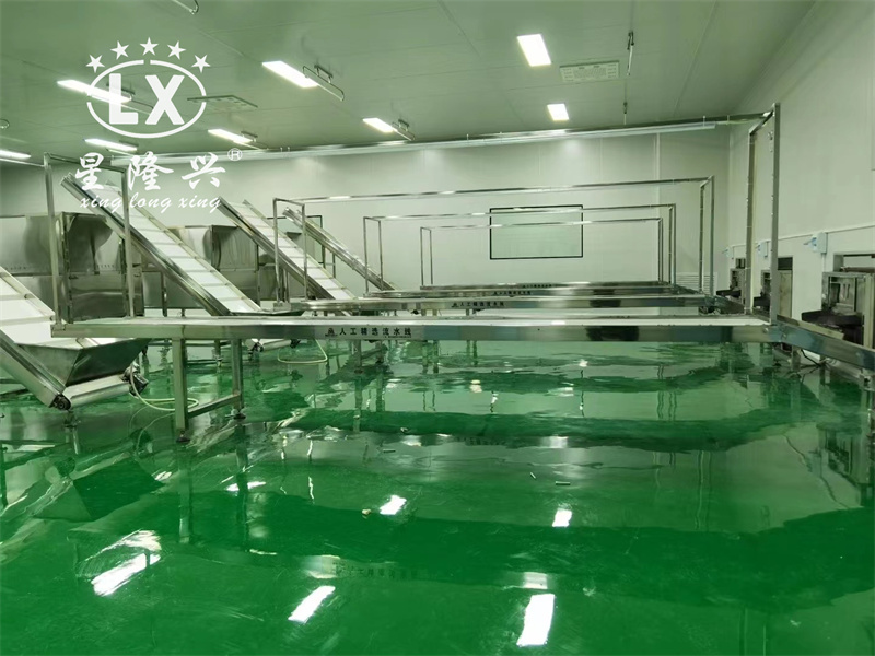 香菇木耳篩選生產(chǎn)線 香菇木耳篩選生產(chǎn)線