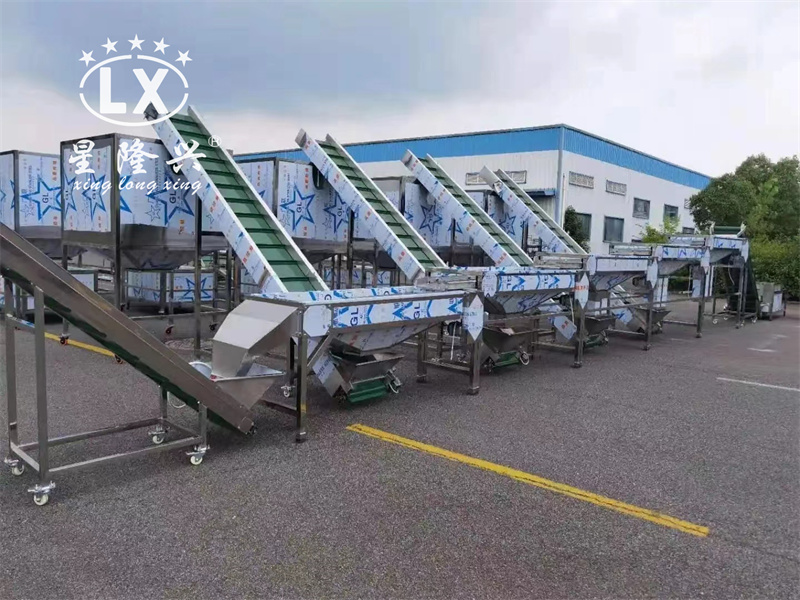 香菇木耳篩選生產(chǎn)線 香菇木耳篩選生產(chǎn)線