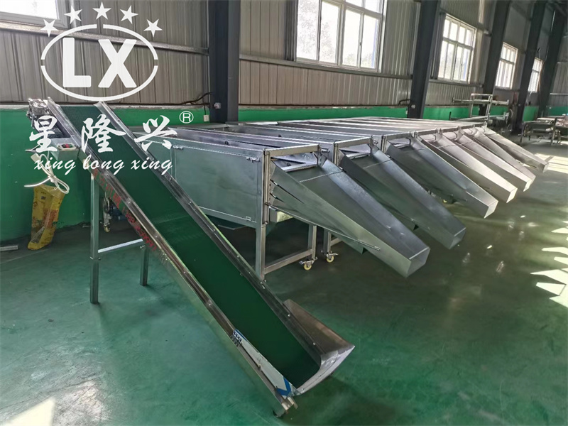 香菇篩選機(jī)