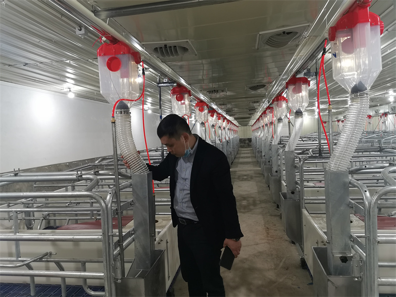 環(huán)?？照{(diào)廣西遼大養(yǎng)殖基地環(huán)控工程案例